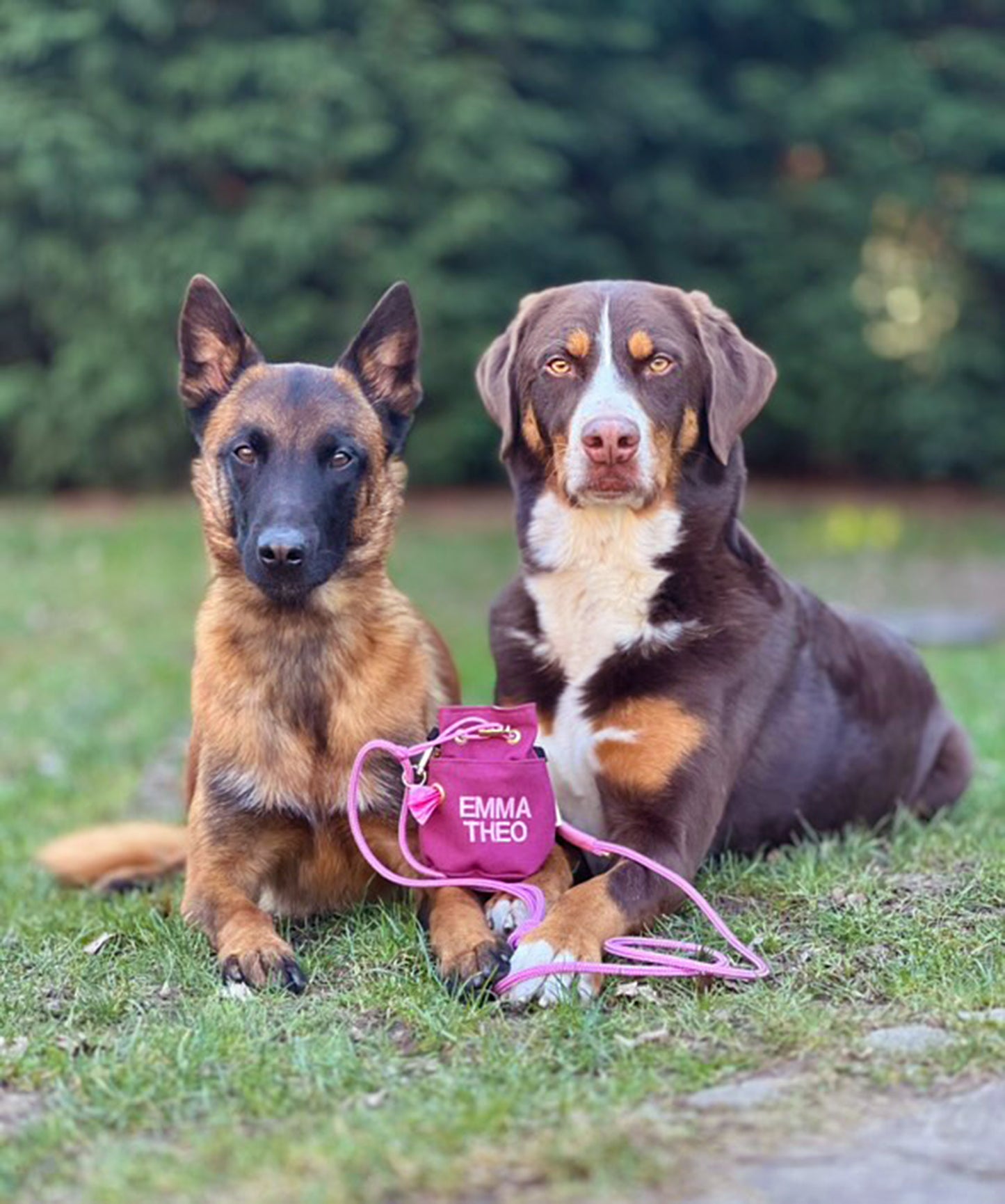 Leckerlibeutel für Hunde - Kaia Berry - Gassitasche mit Tütenspender