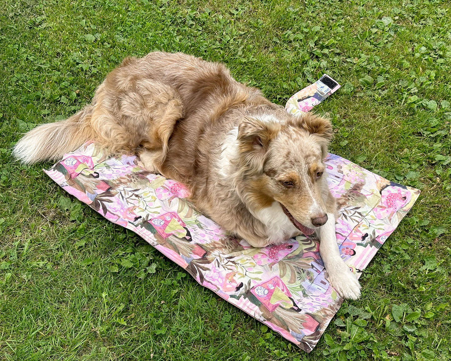 Hundedecke Kalea 60x80 cm – mit wasserabweisender Unterseite | Faltbare Reise- & Outdoor-Decke für Hunde
